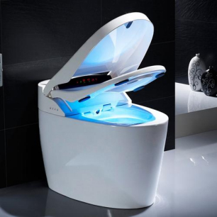 Smart toilet servo