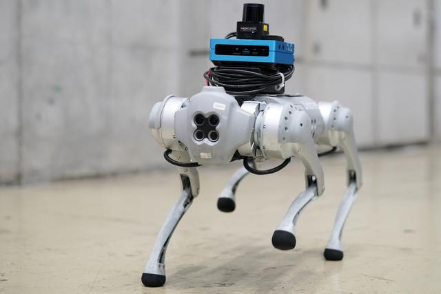 Multi legged robot