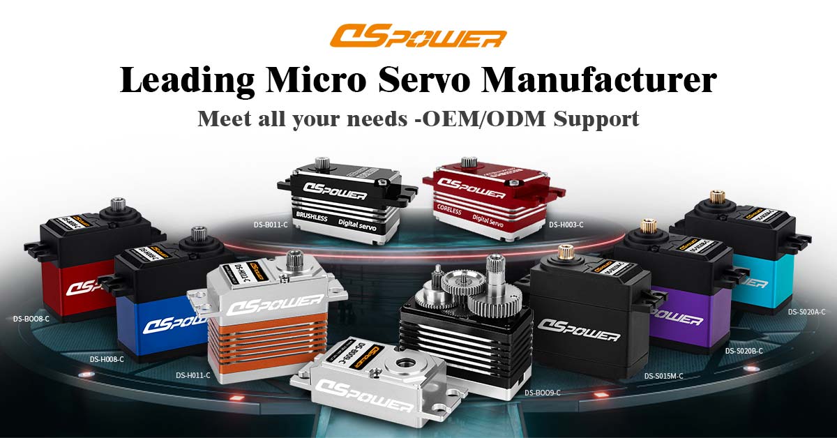 DSpower Digital Servo Motor